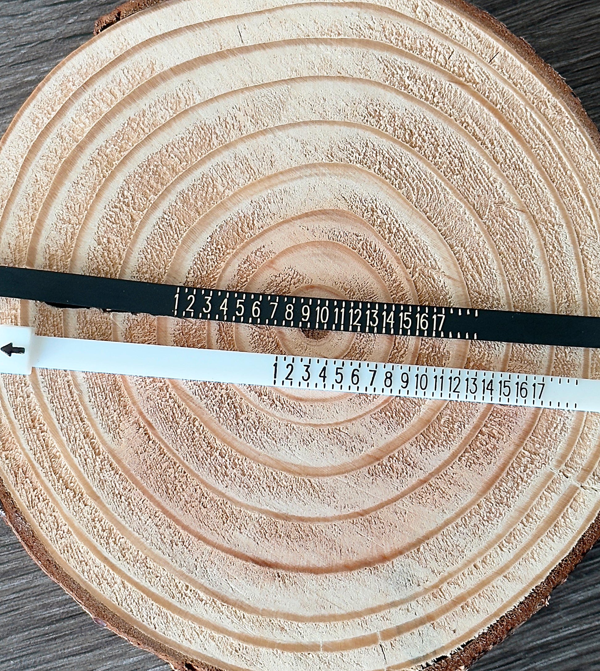 Reusable ring sizer measuring tool from Evergreen Ring Splints