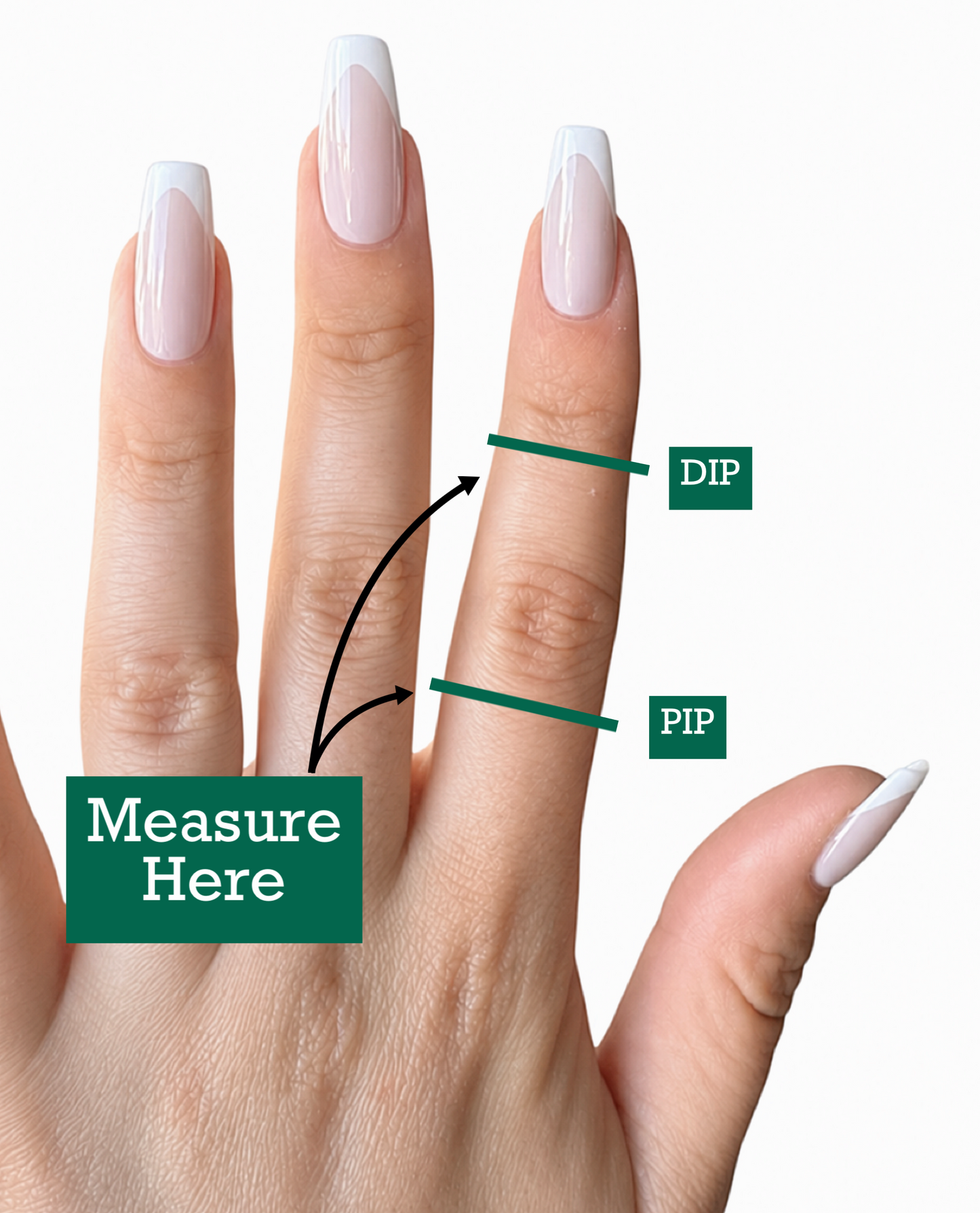 The Magnolia | Full Finger, Double Swan Splint