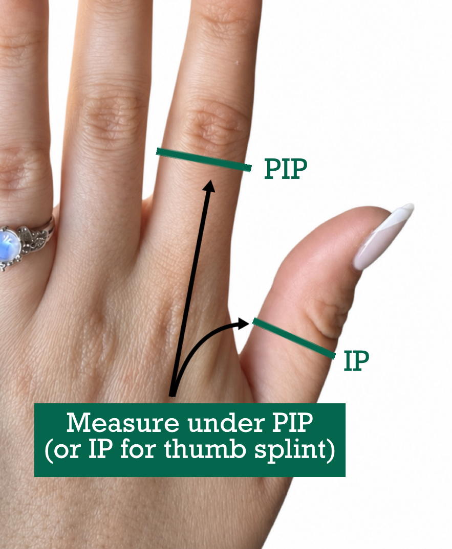 The Serpent | Swan Splint
