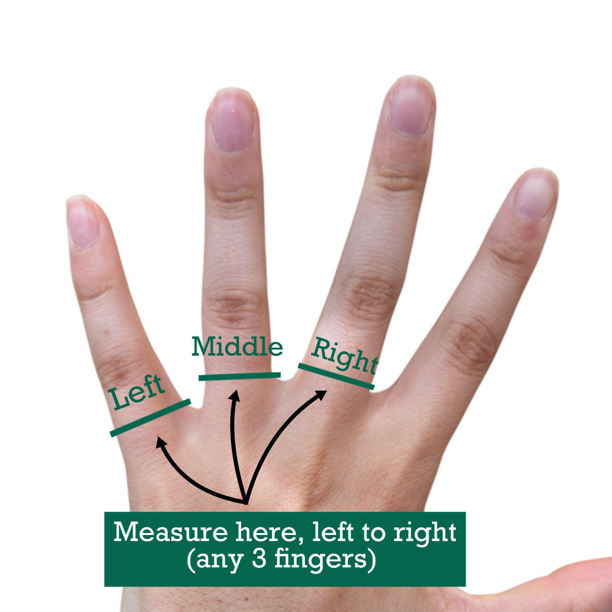The Hazel | Three Finger Buddy Splint